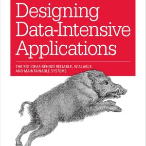 Designing Data-Intensive Applications: The Big Ideas Behind Reliable, Scalable, and Maintainable Systems by Martin Kleppmann (slightly used)